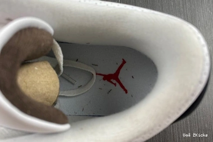 3 136064-168 364 Scott Air Jordan SportInspired x Travis 0729